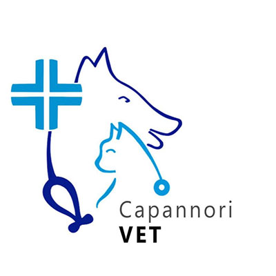 Capannorivet